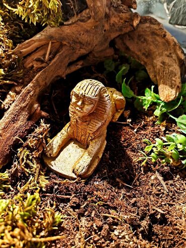 Зоотовары: 🌿 Украшения и декорации для аквариумов и террариумов 🌿 Продаю — 18