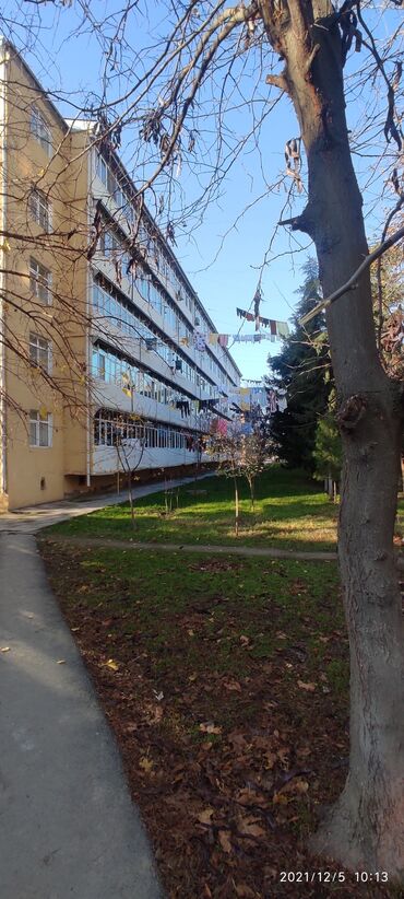 Uzunmüddətli kirayə mənzillər: Mingəçevir şəhəri 5 mərtəbəli leninqrad layihəli binanin 4 cu — 15