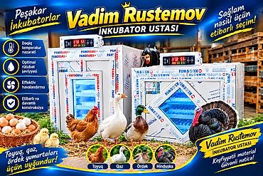 Azərbaycan, Tam avtomat lalafo.az -da Azərbaycan, Tam avtomat