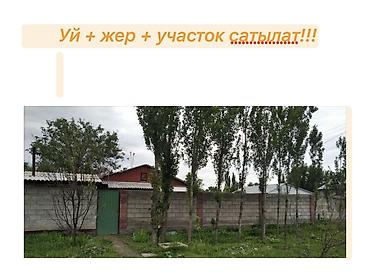 в сокулуке: Сокулуктан. Национальный. Айылынан 10 км ылдый центрдан. Там сатылат — 1