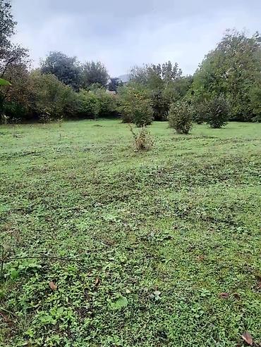 bine qesebesinde evler: 31 sot, Tikinti, Mülkiyyətçi, Kupça (Çıxarış) — 8