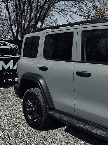 Tank: Tank 300: 2022 г., 2 л, Бензин — 3