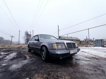 Mercedes-Benz: Mercedes-Benz W124: 1992 г., 2 л, Механика, Бензин, Седан