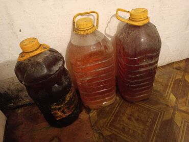 масло 5 литров: Отработка масла от фритюра 5.5. Литров