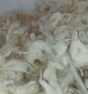 leon sekli: Təbii qoyun yun lifləri - Rəng: ağ/krem tonları - Lif tipi: qıvrım
