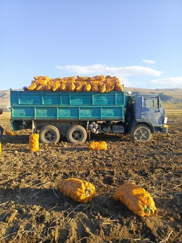 Грузовики: Грузовик, Камаз, Стандарт, 7 т, Б/у — 18