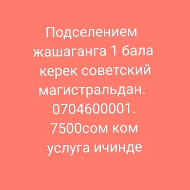 Ремонт, реставрация мебели: 1 комната, Собственник, С подселением, С мебелью частично