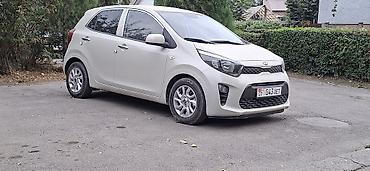 Kia: Kia Morning: 2019 г., 1 л, Автомат, Бензин, Хэтчбэк — 6