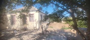 Torpaq sahələrinin satışı: 8 sot, Tikinti, Kupça (Çıxarış) — 7