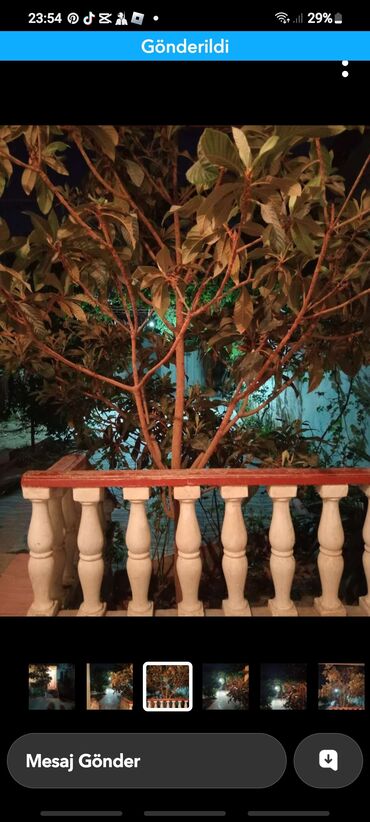 Həyət evləri və villaların satışı: Biləcəri 3 otaqlı, 110 kv. m, Kredit yoxdur, Yeni təmirli — 4