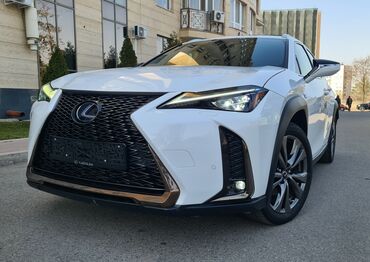 Lexus: Lexus : 2020 г., 2 л, Вариатор, Гибрид, Хэтчбэк