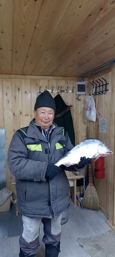 Другие услуги: Объявление №1 — ПГС / УГОЛЬ / ОТЧЁТЫ Геолог. ПГС и уголь — отчёты — 26