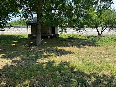 qalada torpaq: 10 sot, Tikinti, Mülkiyyətçi, Kupça (Çıxarış) — 3