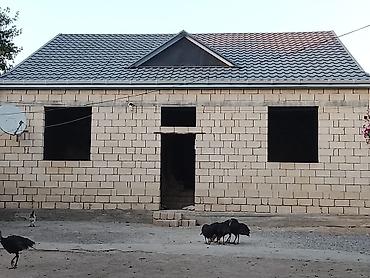 yeni il səkilləri yolka: DAM VƏ NAVESLƏRİN YIĞILMASI! 🏗️ Evinizə və həyətinizə möhkəmlik — 7