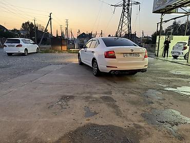 сапок бус бортовой: Skoda Octavia: 2016 г., 1.6 л, Робот, Бензин, Седан — 4