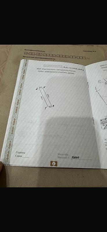кызыл кия кыз: 100 соток, Курулуш, Белек келишими, Сатып алуу-сатуу келишими, Башкы ишеним кат — 4