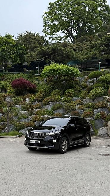 range river: Kia Sorento: 2019 г., 2.2 л, Автомат, Дизель, Кроссовер — 3