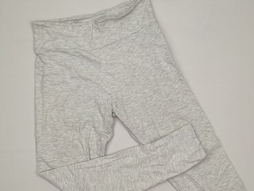 Calliope, Legginsy Sportowe damskie, rozmiar XL