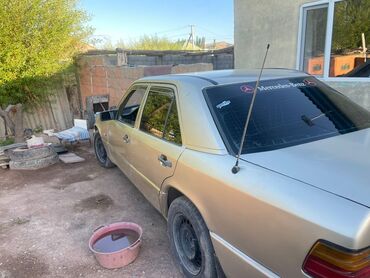 Mercedes-Benz: Mercedes-Benz W124: 1989 г., 2.9 л, Механика, Дизель, Седан