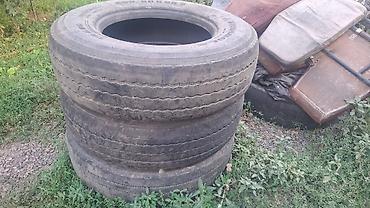 Шины: 22,5 295,80 — 5