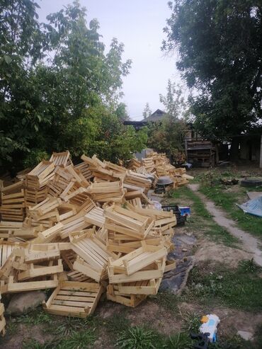 саженцы черешни в оше: Продаётся деревянные яшики новые. Жыгачтан жасалган ящик тер сатылат