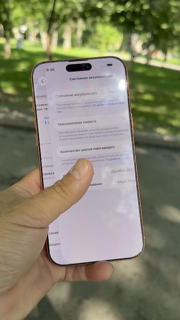 Apple iPhone: IPhone 17 Pro Max, Б/у, 1 ТБ, 100 % — 7