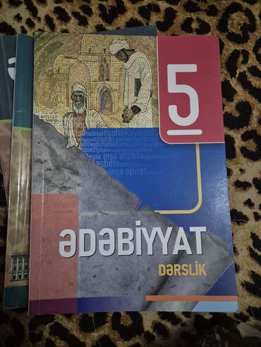 Daihatsu: Ədəbiyyat dərslik 5ci sinif