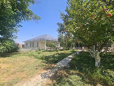 Продажа коттеджей и домов: 🏡 Продается угловой участок с домом в селе Кой-Таш (ул. Мурзалиева) — 5