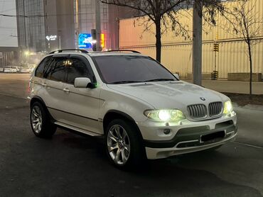 BMW: BMW X5: 2005 г., 4.8 л, Автомат, Бензин, Внедорожник