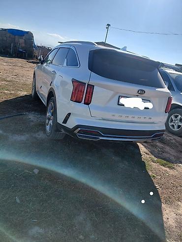 daewoo espero: Kia Sorento: 2020 г., 2.2 л, Автомат, Дизель — 3