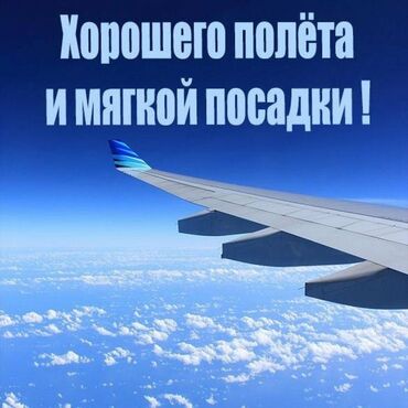 Туристические услуги: Авиабилеты ✈️✈️✈️✈️ Авиабилеты баардык багыттарга арзан баада •