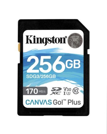 карты памяти epik для видеорегистратора: Карта памяти SDXC Kingston Canvas Go Plus 256GB Оригинал! Основные