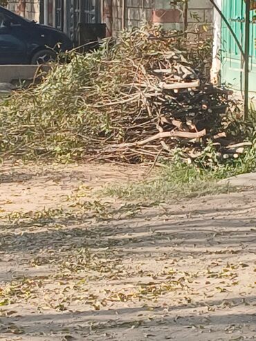 отдам детские вещи даром: Бесплатно/отдам: ветки и хворост после обрезки деревьев. Описание: -