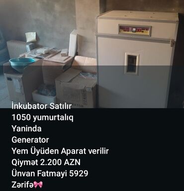 Kənd təsərüfatı heyvanları üçün digər mallar: İnkubator Satılır 1050 yumurtalıq Yaninda Generator Yem Üyüden