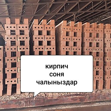 умный счетчик электроэнергии цена: Пустотелый, дырчатый, Жженый кирпич, Евро, 250×60×65