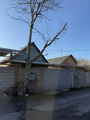 Продажа коттеджей и домов: - [ ] Продается дом !!! - [ ] С. Пригородное Улица Садовая 9 - [ ] — 1