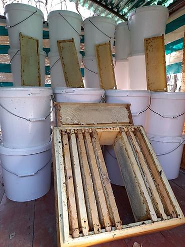 Ящики: Ящик — 2