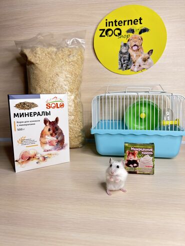 рисовая отруби: Клетка с хомячком + корм + пачка опилок+ минеральный камень для