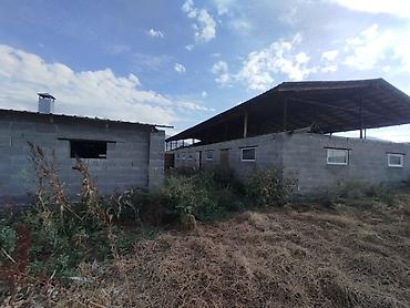 степной: Кошара, 20 соток, Не действующий, Частично с оборудованием, Электричество — 5