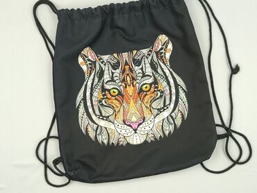 Backpack, condition - Perfect