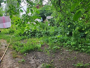 котед: Одноэтажный дом с озеленённым двором. ( сумма в рублях) Продаётся  — 8