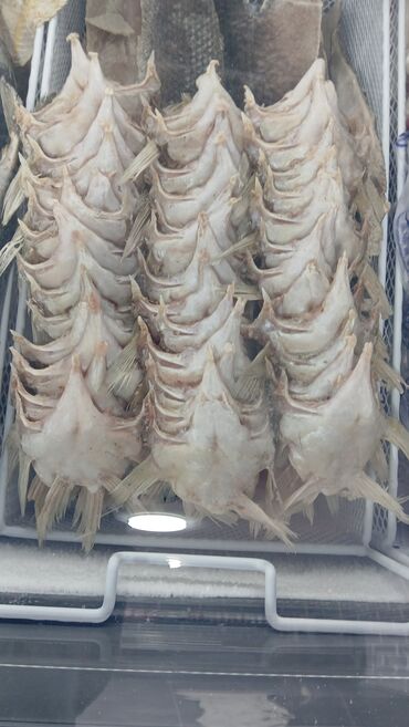 Рыба и морепродукты: Свежий — 13