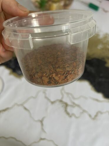 Balıqlar: Qızıl balıq, Sülhsevər, Pulsuz çatdırılma -da lalafo.az — 8 Balıqlar: Qızıl balıq, Sülhsevər, Pulsuz çatdırılma — 8