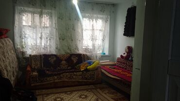 Другие комнатные растения: Талас шаары Танабаев 265кочосу техникумдун аркасында жайгашкан — 9