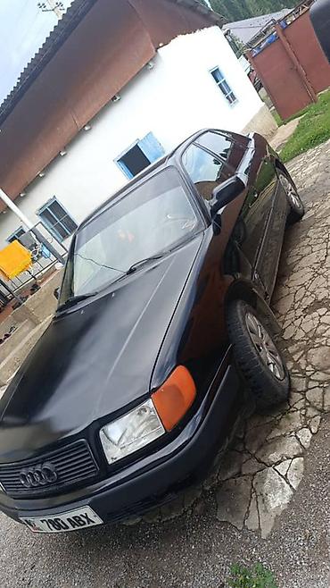 краска авто: Audi 100: 1991 г., 2 л, Механика, Седан — 3