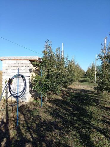 Prodaja zemljišta: Poljoprivredno zemljište — 12
