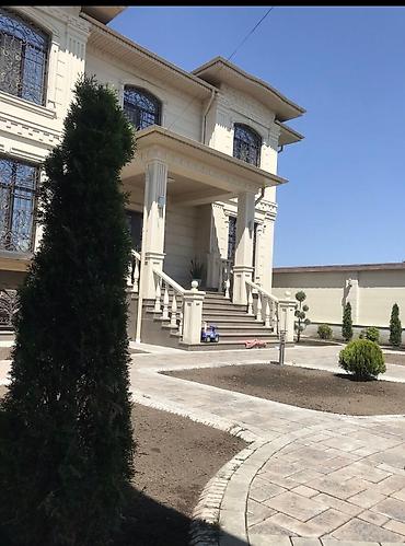 Другие услуги: Сеем газон (Автополив под ключ )🔑🔑🔑 подготовка участка к газону ✅✅✅ — 6