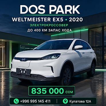 Weltmeister EX5, 2020 г.