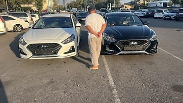 Hyundai Sonata: 2020 г., 2 л, Автомат, Газ, Седан