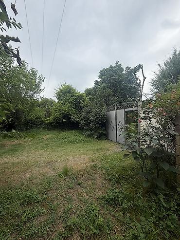 Torpaq sahələrinin satışı: 25 sot, Mülkiyyətçi, Kupça (Çıxarış) — 4